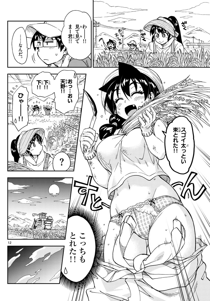 AMANO MEGUMI WA SUKI DARAKE! - RAW Chapter 165 page 12 - nihonkuni.com