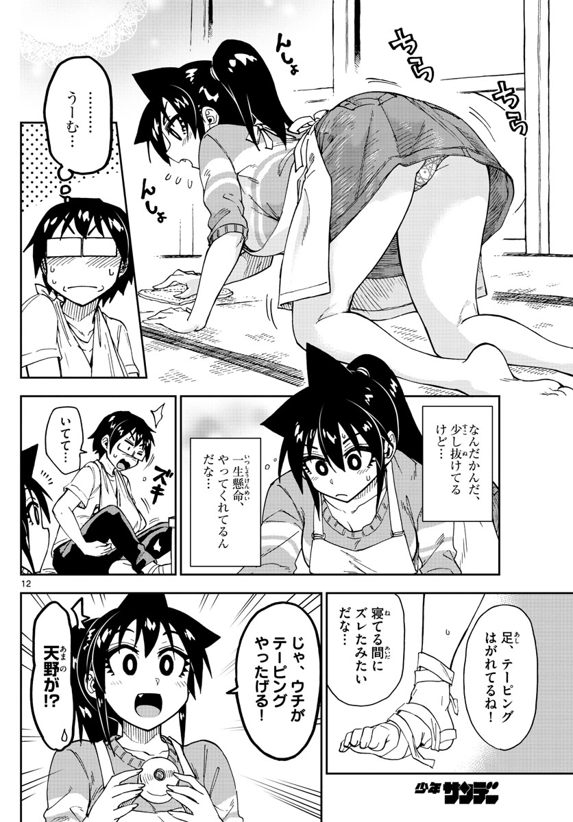 AMANO MEGUMI WA SUKI DARAKE! - RAW Chapter 160 page 12 - nihonkuni.com
