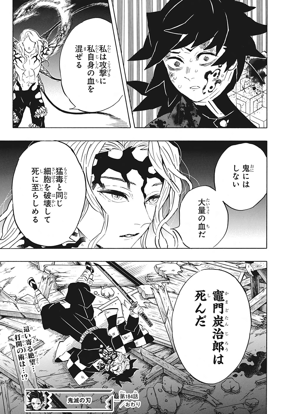 KIMETSU NO YAIBA - RAW Chapter 184 page 19 - nihonkuni.com