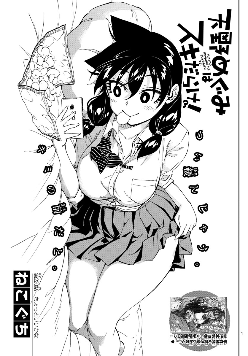 AMANO MEGUMI WA SUKI DARAKE! - RAW Chapter 220 page 1 - nihonkuni.com