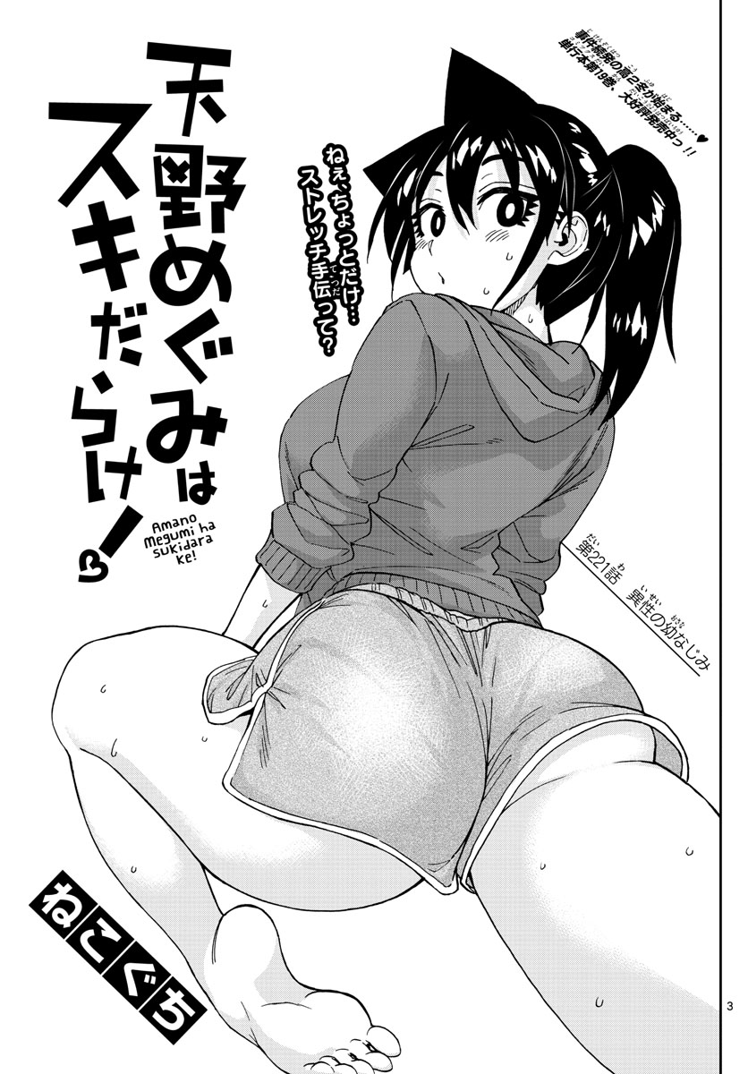 AMANO MEGUMI WA SUKI DARAKE! - RAW Chapter 221 page 3 - nihonkuni.com