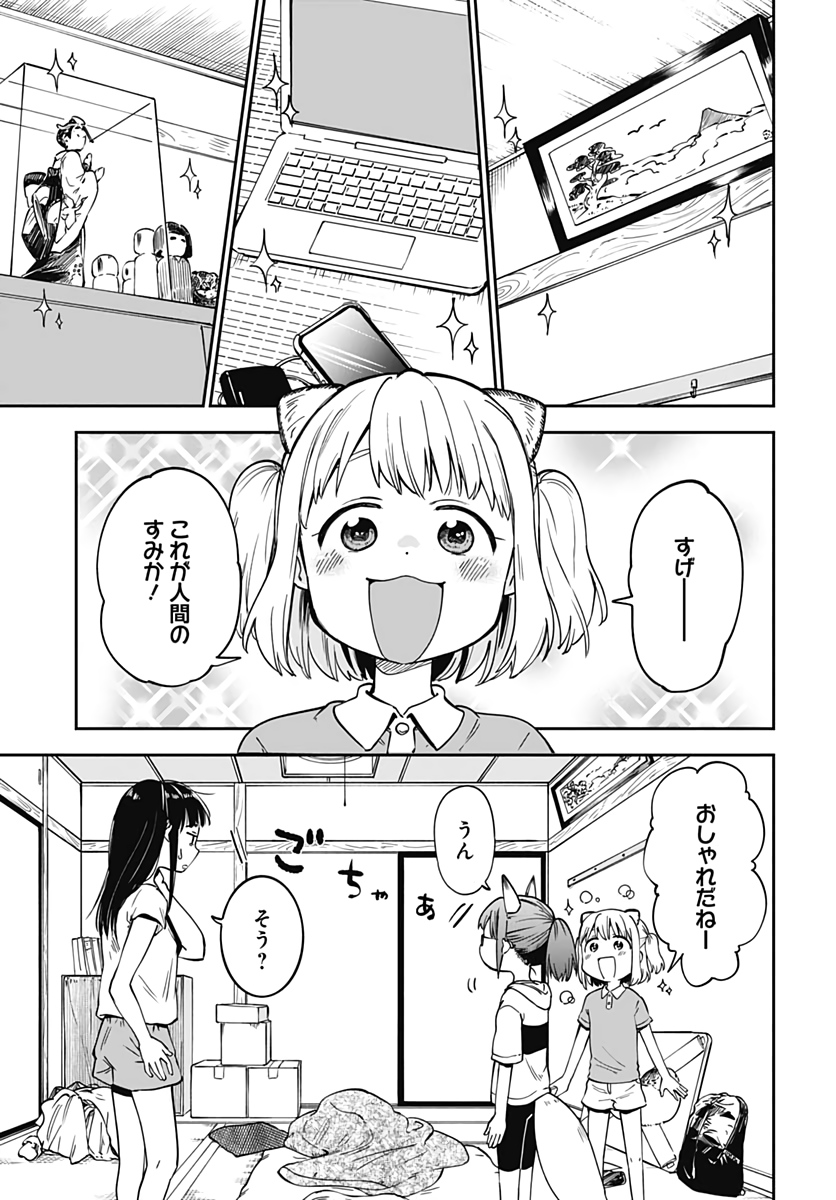 Tanuki to Kitsune to Sato Gurashi Chapter 2 page 19 - nihonkuni.com