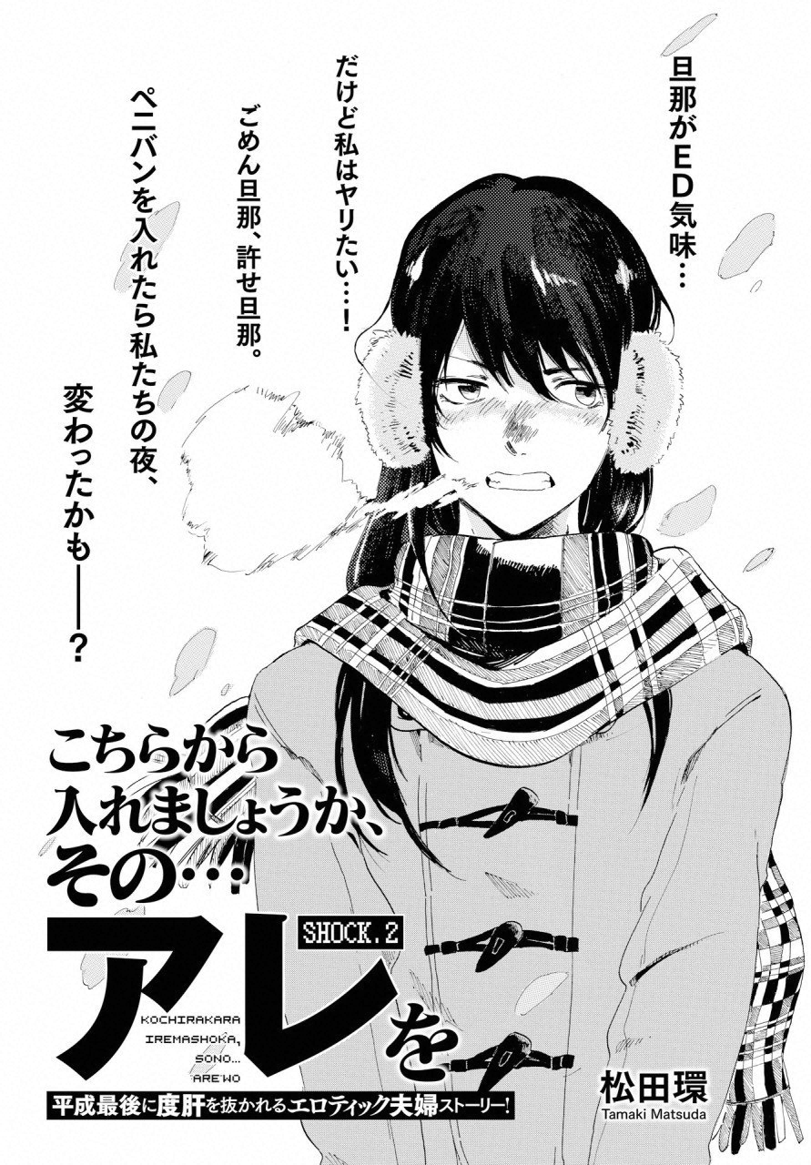 KOCHIRA KARA IREMASHOU KA SONO... ARE WO - RAW Chap 2 - Pic 1