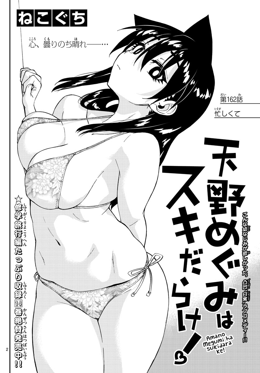 AMANO MEGUMI WA SUKI DARAKE! - RAW Chapter 162 page 2 - nihonkuni.com