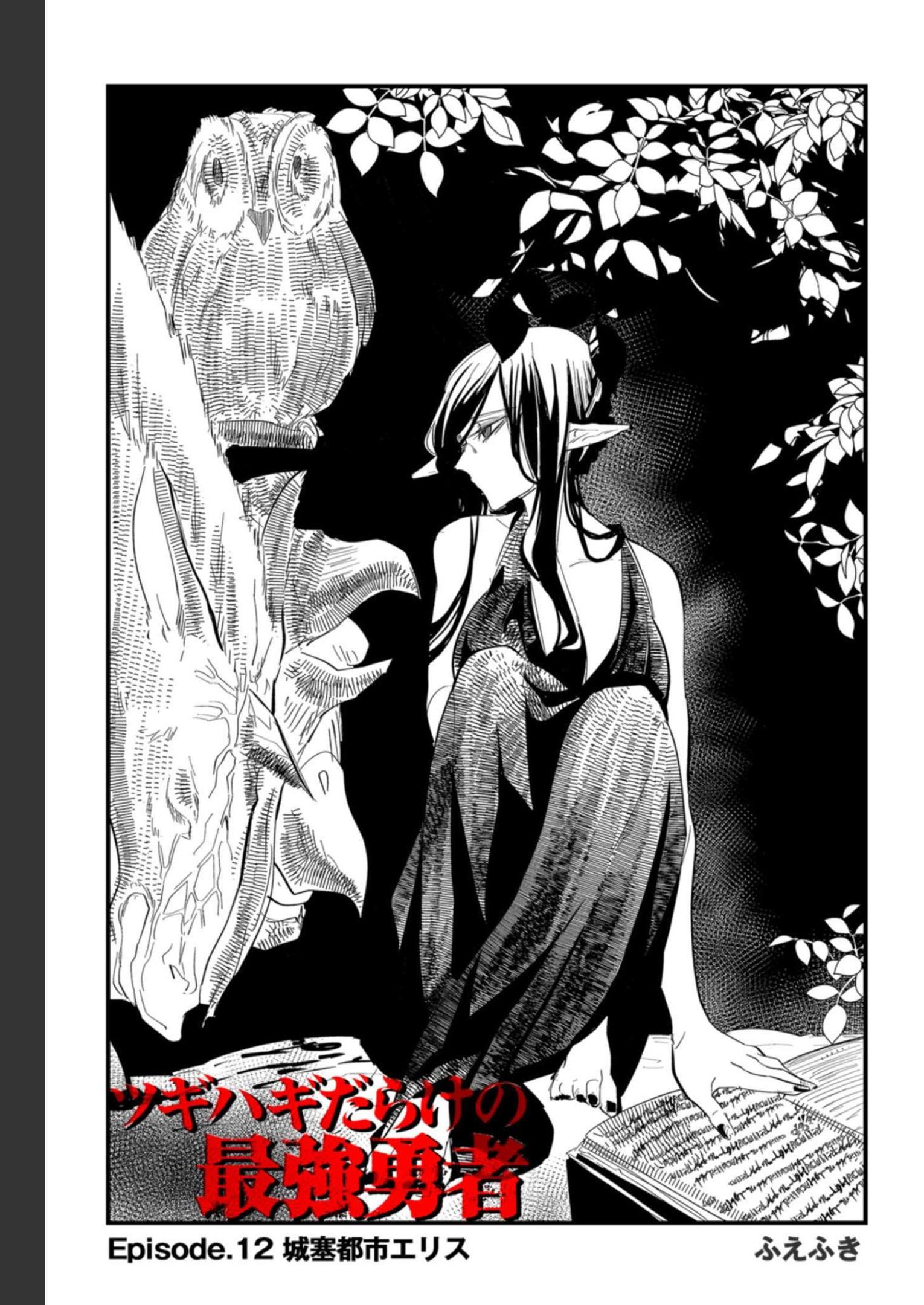 Tsugihagi Darake no Saikyou Yuusha Chap 12 - Pic 1