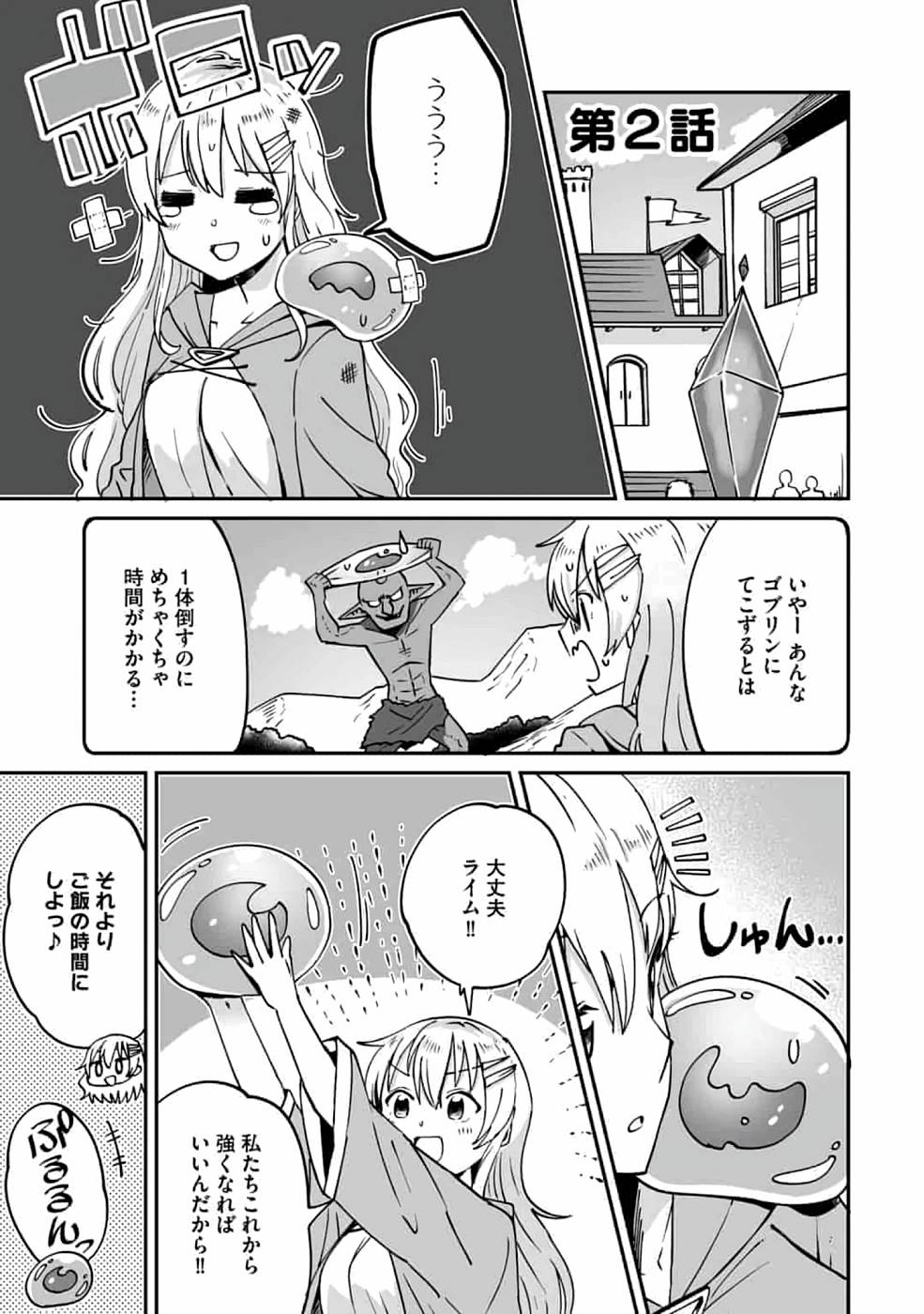 TEIMA-SAN NO VRMMO IKUSEI NISSHI Chap 2 - Pic 1