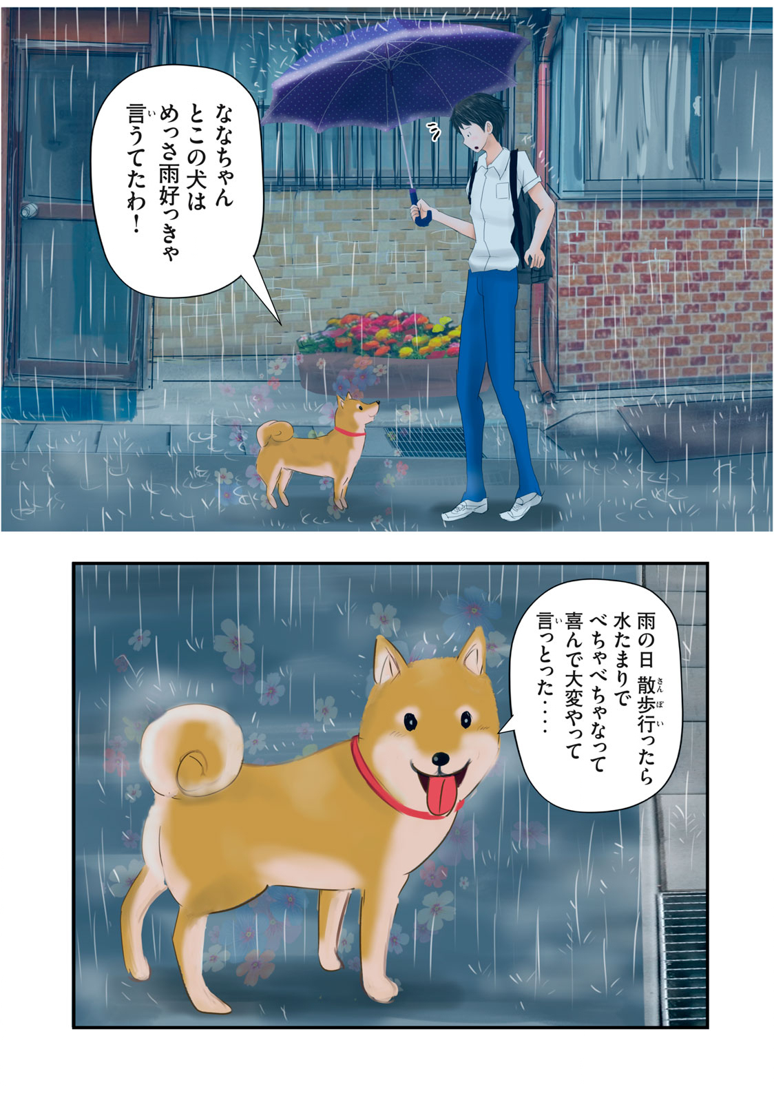 Matsuyama-kun to Kobayashi-san no 3 Meters Chap 20 - Pic 11