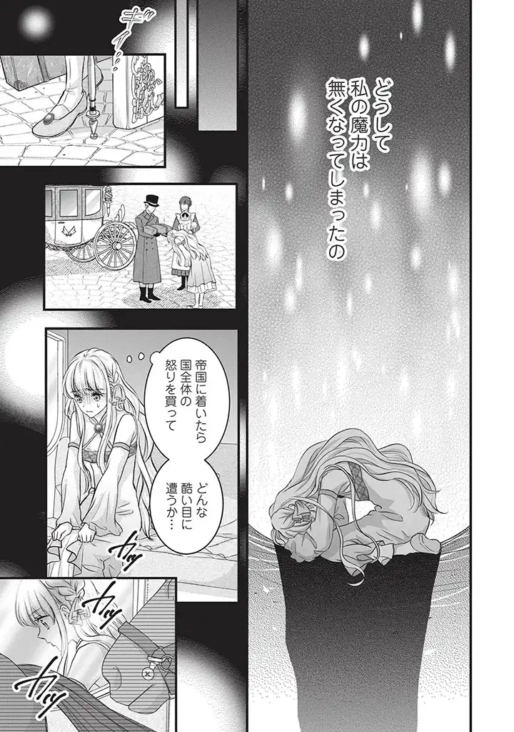 KARAPPO SEIJO TO SHITE SUTERARETA HAZU GA, TOTSUGI-SAKI NO KOUTEI HEIKA NI DEKIAISARETEIMASU Chapter 1 page 13 - nihonkuni.com