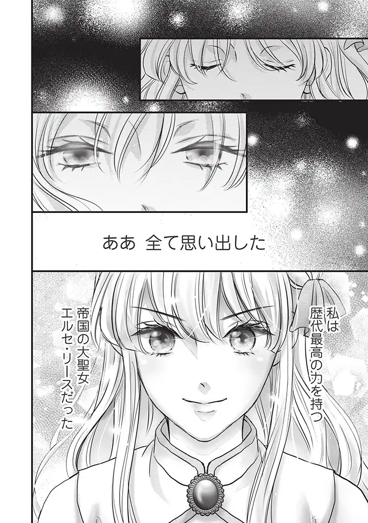 KARAPPO SEIJO TO SHITE SUTERARETA HAZU GA, TOTSUGI-SAKI NO KOUTEI HEIKA NI DEKIAISARETEIMASU Chapter 1 page 28 - nihonkuni.com