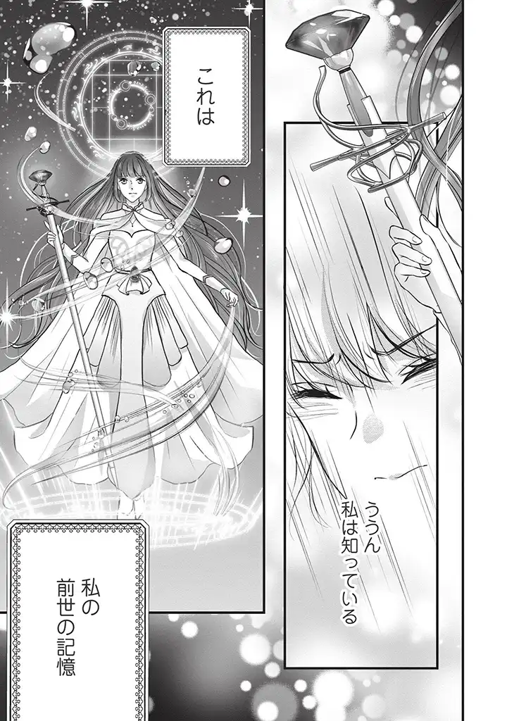 KARAPPO SEIJO TO SHITE SUTERARETA HAZU GA, TOTSUGI-SAKI NO KOUTEI HEIKA NI DEKIAISARETEIMASU Chapter 1 page 27 - nihonkuni.com