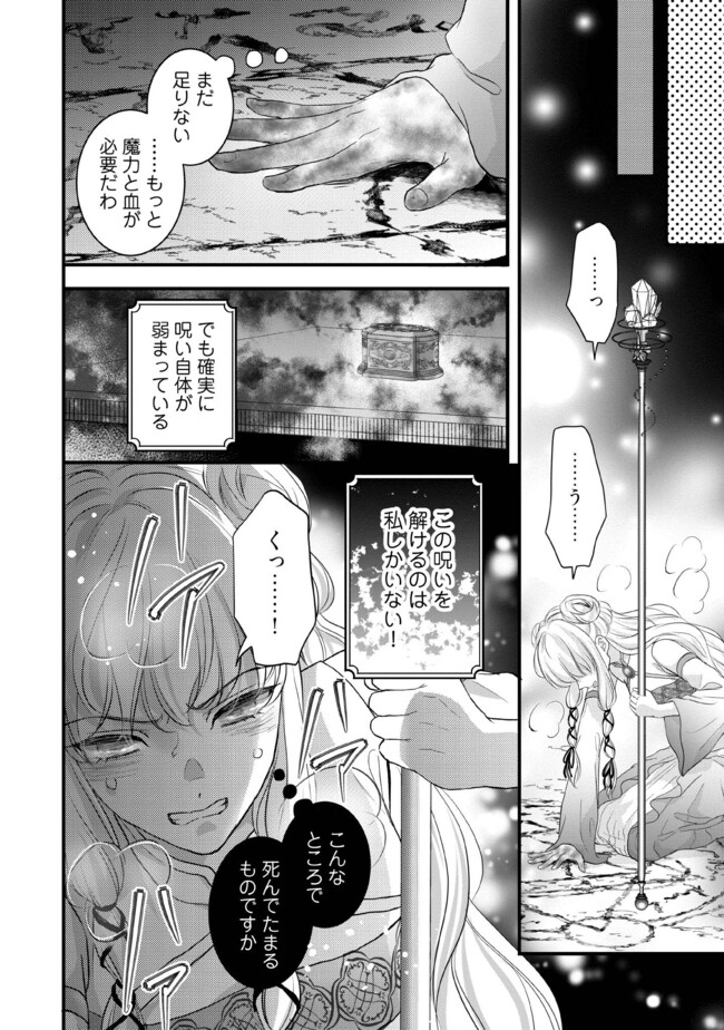 KARAPPO SEIJO TO SHITE SUTERARETA HAZU GA, TOTSUGI-SAKI NO KOUTEI HEIKA NI DEKIAISARETEIMASU Chapter 12.1 page 4 - nihonkuni.com
