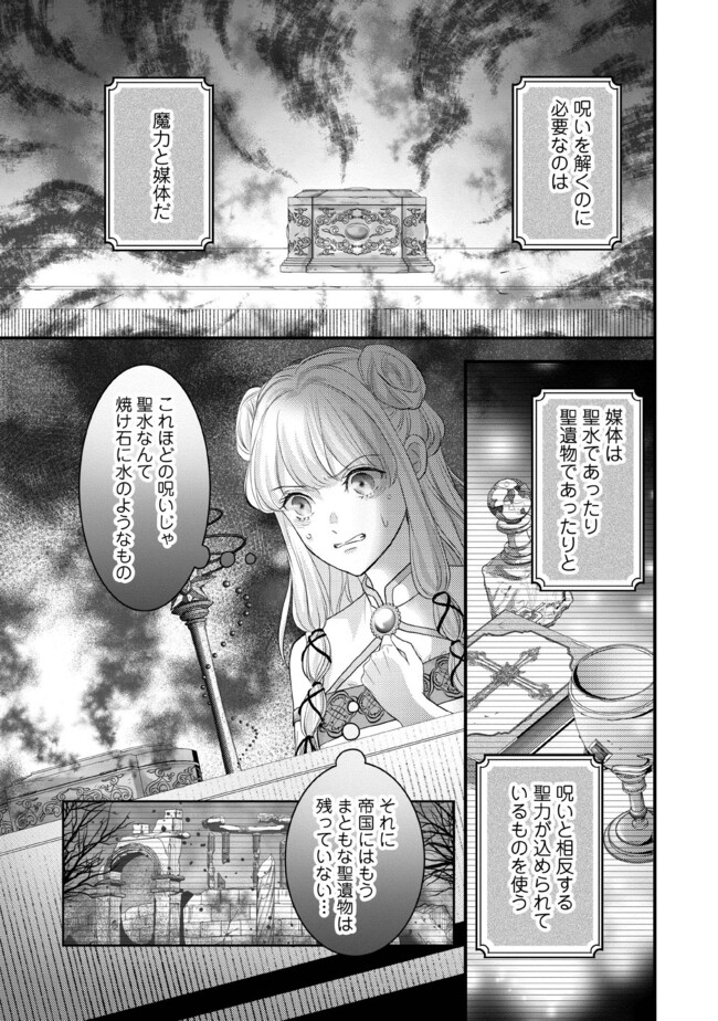 KARAPPO SEIJO TO SHITE SUTERARETA HAZU GA, TOTSUGI-SAKI NO KOUTEI HEIKA NI DEKIAISARETEIMASU Chapter 12.1 page 1 - nihonkuni.com