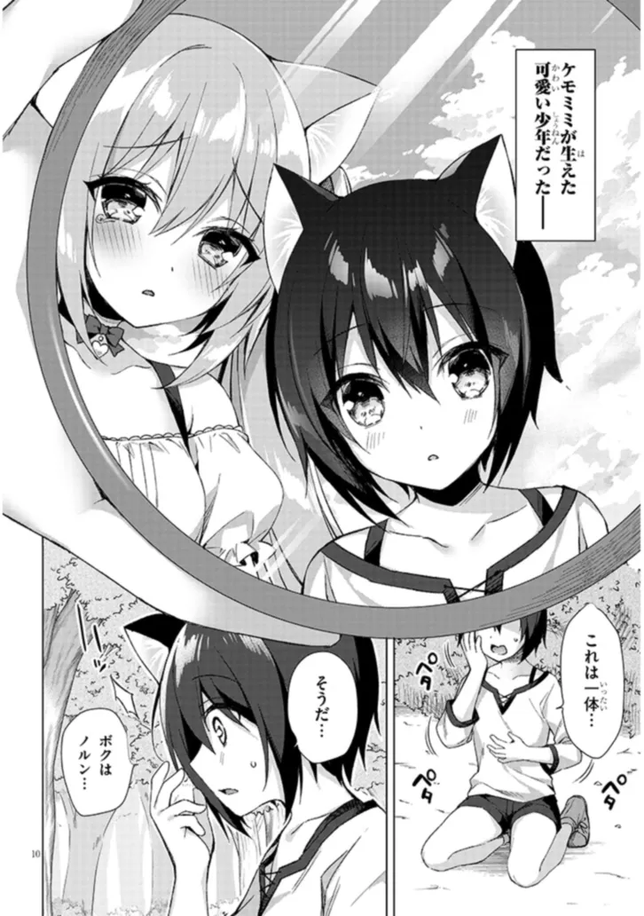 BOKU NO RISOU NO ISEKAI SEIKATSU - TENSEI SHITARA KEMOMIMI MUSUME DARAKE NO SEKAI DE HAREM NI Chapter 1 page 10 - nihonkuni.com