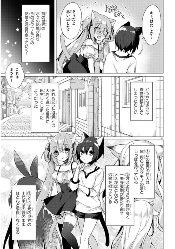 BOKU NO RISOU NO ISEKAI SEIKATSU - TENSEI SHITARA KEMOMIMI MUSUME DARAKE NO SEKAI DE HAREM NI Chapter 1 page 11 - nihonkuni.com