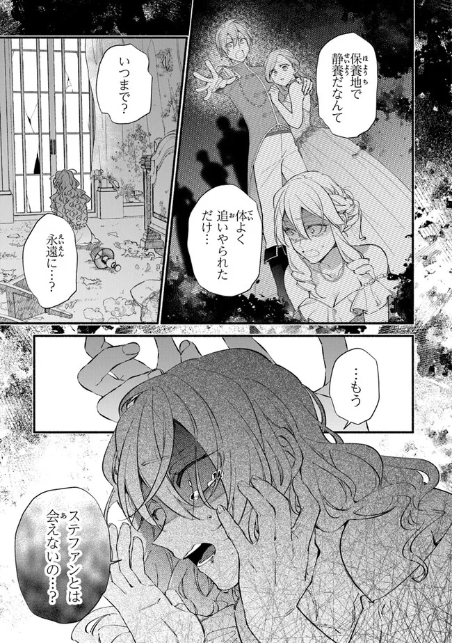 AKUYAKU REIJOU NI TENSEI SHIPPAI SHITE KACHI HEROINE NI NATTE SHIMAIMASHITA ~AKUYAKU REIJOU NO ANI TO NO KAZOKU ENDO WO AKIRAMETE KOIBITO END WO MEZASHIMASU~ Chapter 24.2 page 1 - nihonkuni.com