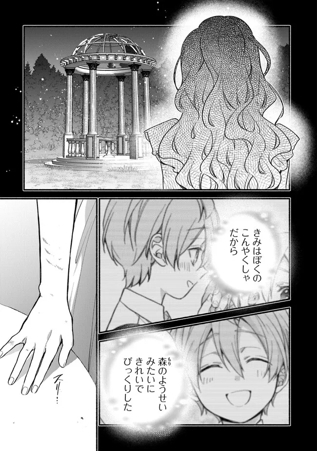 AKUYAKU REIJOU NI TENSEI SHIPPAI SHITE KACHI HEROINE NI NATTE SHIMAIMASHITA ~AKUYAKU REIJOU NO ANI TO NO KAZOKU ENDO WO AKIRAMETE KOIBITO END WO MEZASHIMASU~ Chapter 24.2 page 3 - nihonkuni.com