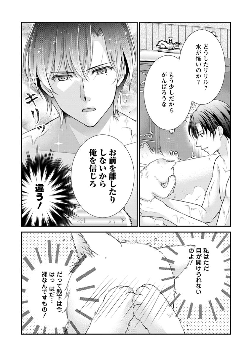 Read NOROI DE NEKO NI SARETA AKUNE, O TAISHI NI HIROWARERU Chapter 5.2 [High Quality / Full] - Page 8 - nicomanga.net