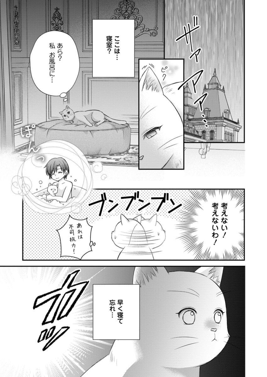 Read NOROI DE NEKO NI SARETA AKUNE, O TAISHI NI HIROWARERU Chapter 5.2 [High Quality / Full] - Page 10 - nicomanga.net