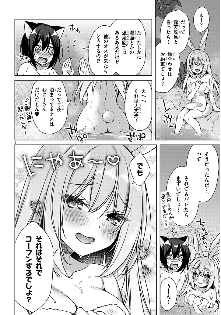 BOKU NO RISOU NO ISEKAI SEIKATSU - TENSEI SHITARA KEMOMIMI MUSUME DARAKE NO SEKAI DE HAREM NI Chapter 10.1 page 2 - nihonkuni.com