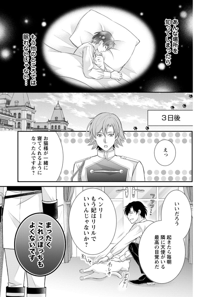 Read NOROI DE NEKO NI SARETA AKUNE, O TAISHI NI HIROWARERU Chapter 5.3 [High Quality / Full] - Page 8 - nicomanga.net