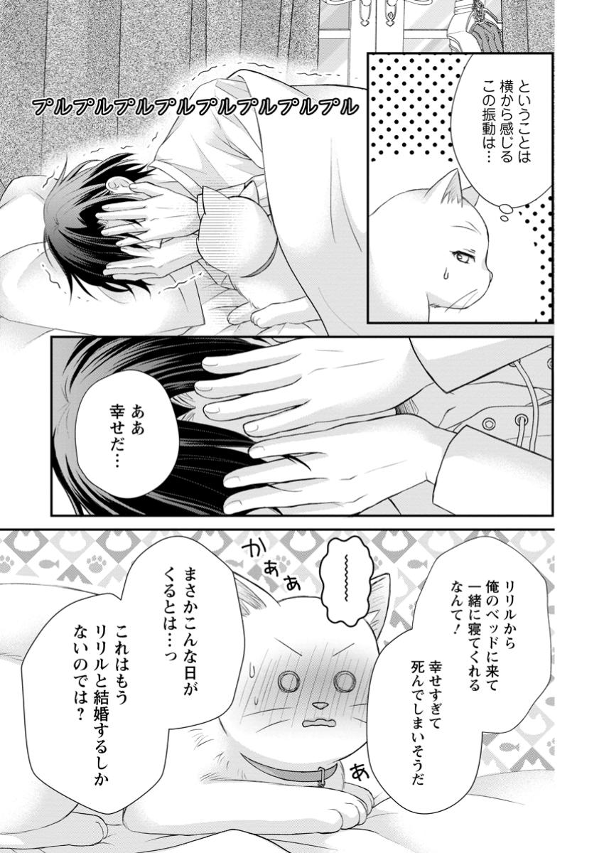 Read NOROI DE NEKO NI SARETA AKUNE, O TAISHI NI HIROWARERU Chapter 5.3 [High Quality / Full] - Page 6 - nicomanga.net
