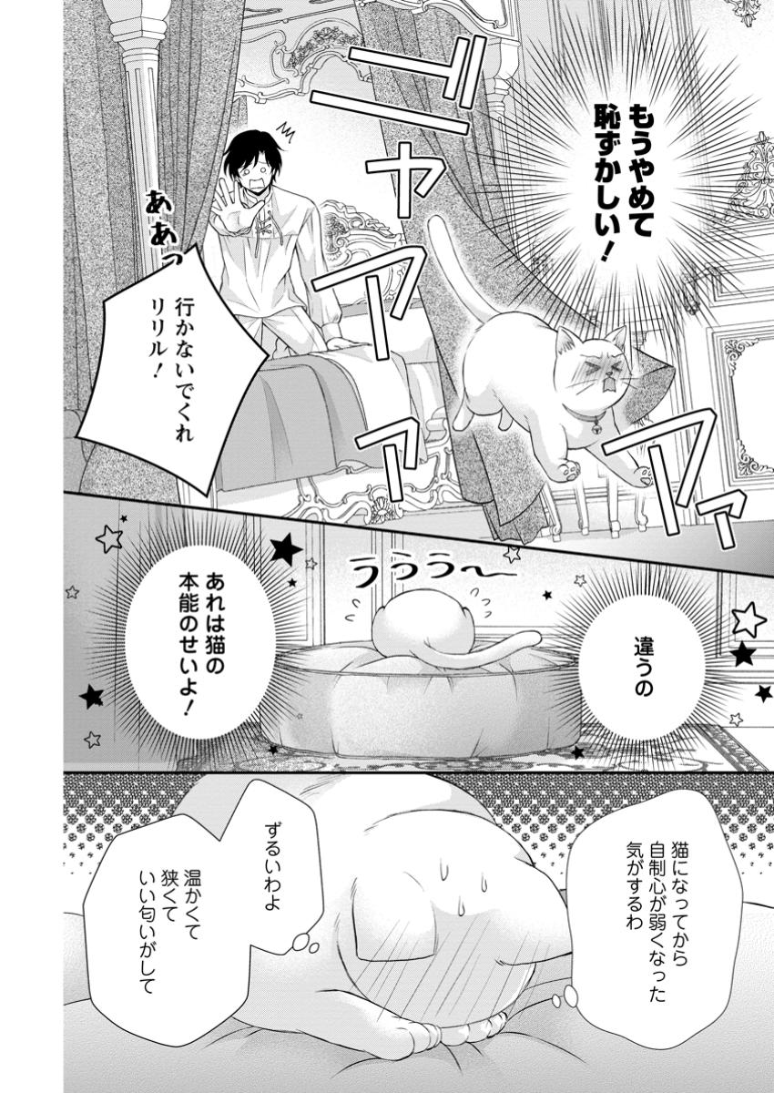 Read NOROI DE NEKO NI SARETA AKUNE, O TAISHI NI HIROWARERU Chapter 5.3 [High Quality / Full] - Page 7 - nicomanga.net