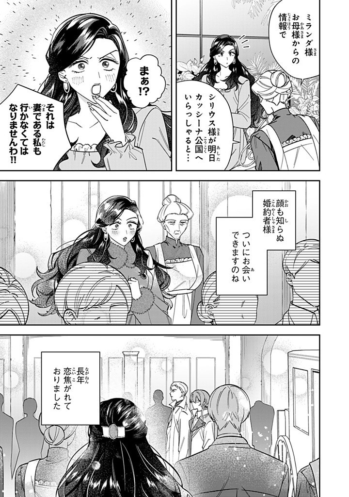 JIYUU KIMAMA NA SEIREIHIME Chapter 14.1 - Page 3