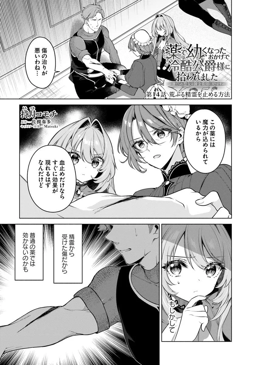 KUSURI DE OSANAKU NATTA OKAGE DE REIKOKU KOUSHAKU-SAMA NI HIROWAREMASHITA - SUTERARE SEIJO WA RENKINJUTSUSHI NI MODORIMASU Chap 14.1 - Pic 1