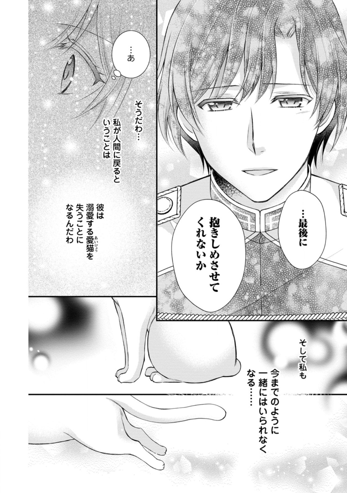 Read NOROI DE NEKO NI SARETA AKUNE, O TAISHI NI HIROWARERU Chapter 13.2 [High Quality / Full] - Page 9 - nicomanga.net