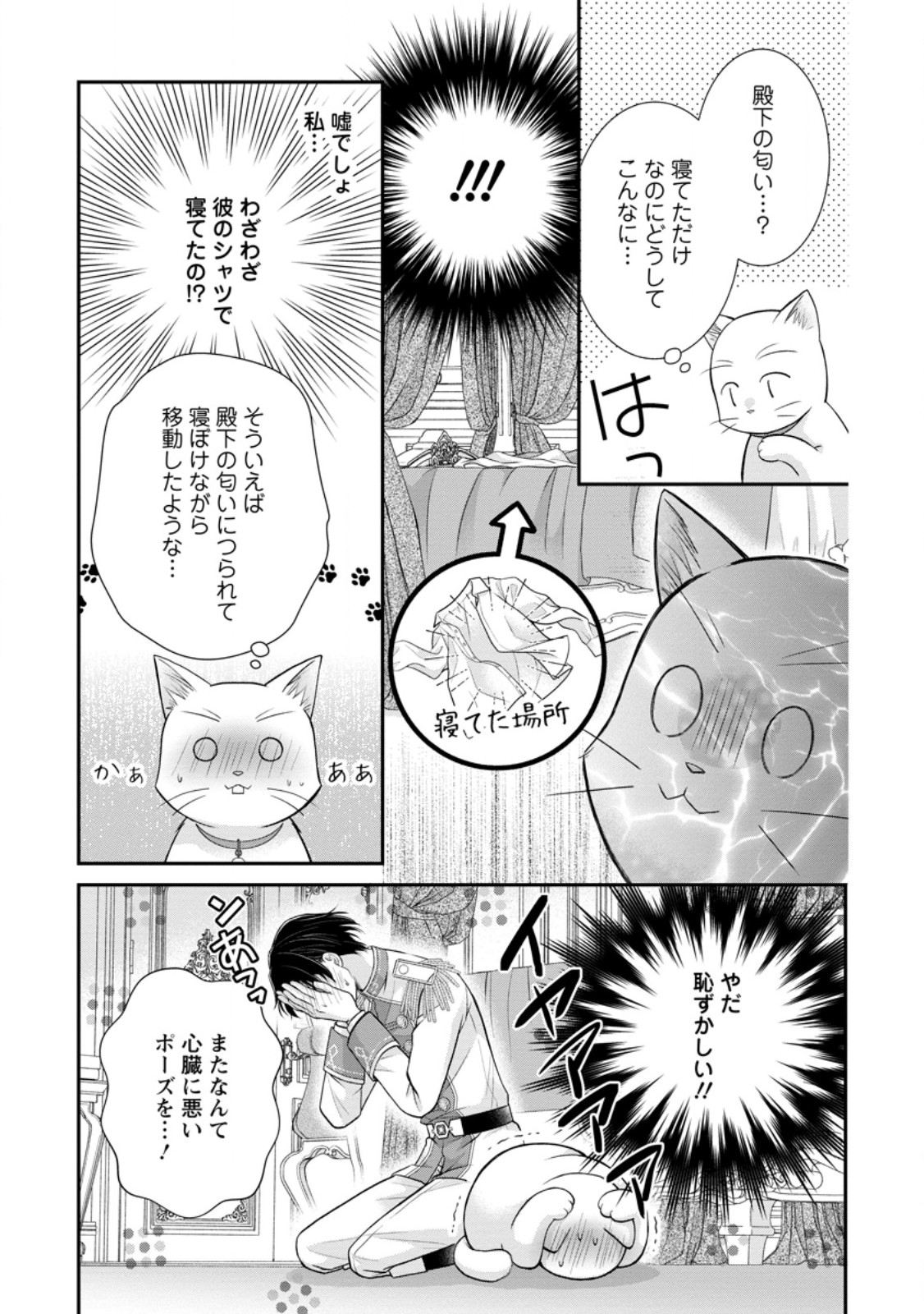 Read NOROI DE NEKO NI SARETA AKUNE, O TAISHI NI HIROWARERU Chapter 13.2 [High Quality / Full] - Page 4 - nicomanga.net