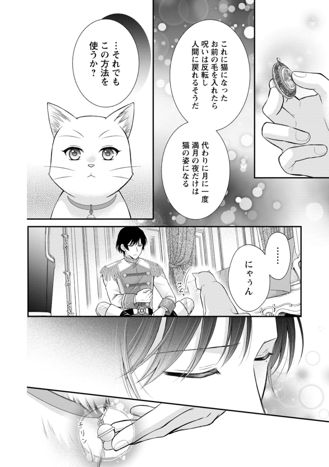 Read NOROI DE NEKO NI SARETA AKUNE, O TAISHI NI HIROWARERU Chapter 13.2 [High Quality / Full] - Page 7 - nicomanga.net
