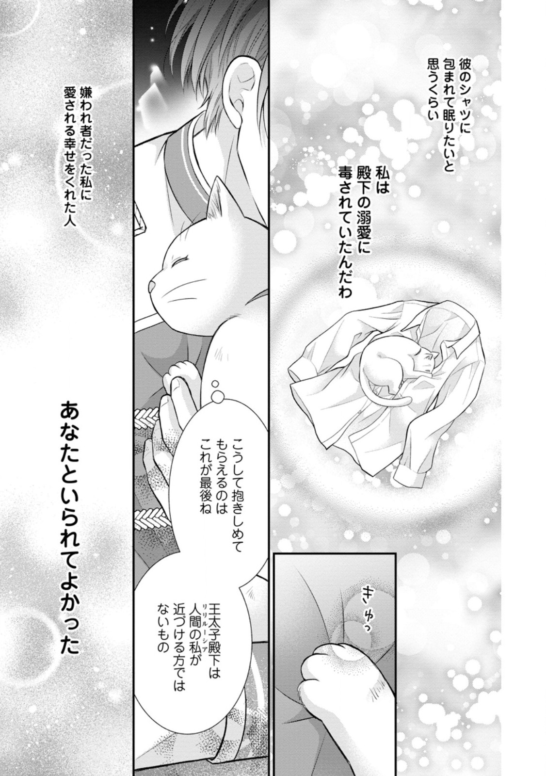 Read NOROI DE NEKO NI SARETA AKUNE, O TAISHI NI HIROWARERU Chapter 13.3 [High Quality / Full] - Page 1 - nicomanga.net