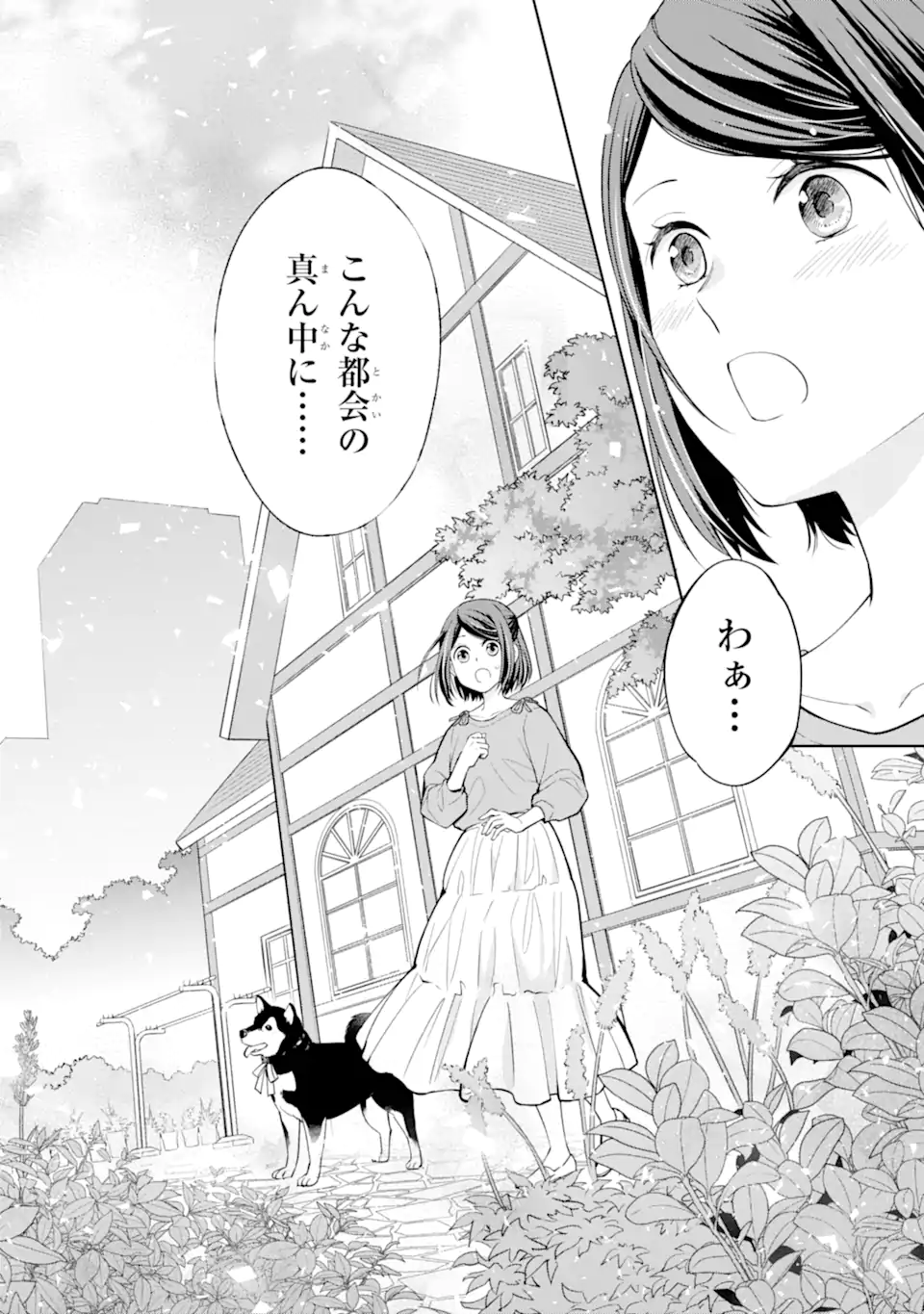 MUSHOKU NO WATASHI TO TENNEN HĀBU ŌJI NO MAJO RESHIPI Chapter 1 page 20 - nihonkuni.com