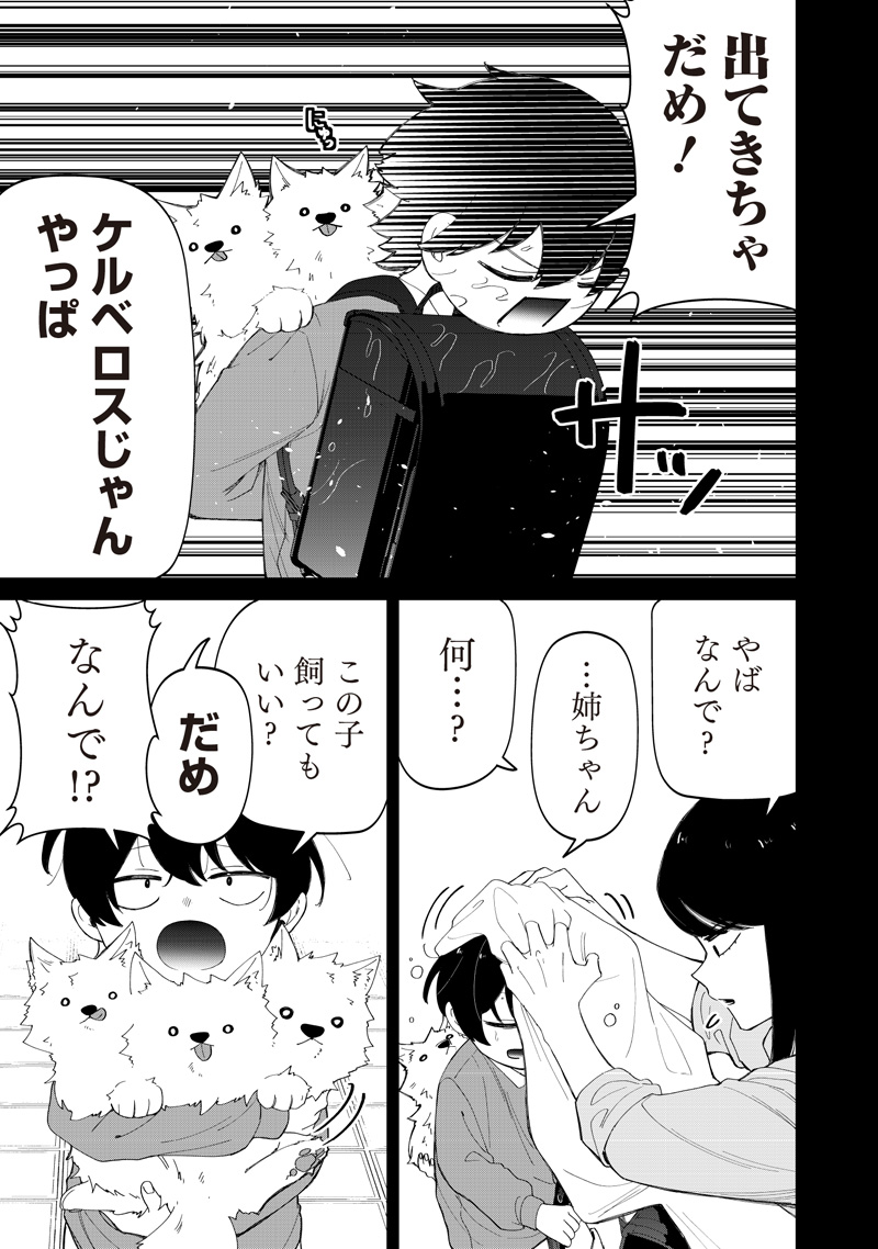 SHIRETTO SUGEE KOTO ITERU GAL. - SHIRITSU PARA NO MARUKOUKOU NO NICHIJOU Chap 49 - Pic 5