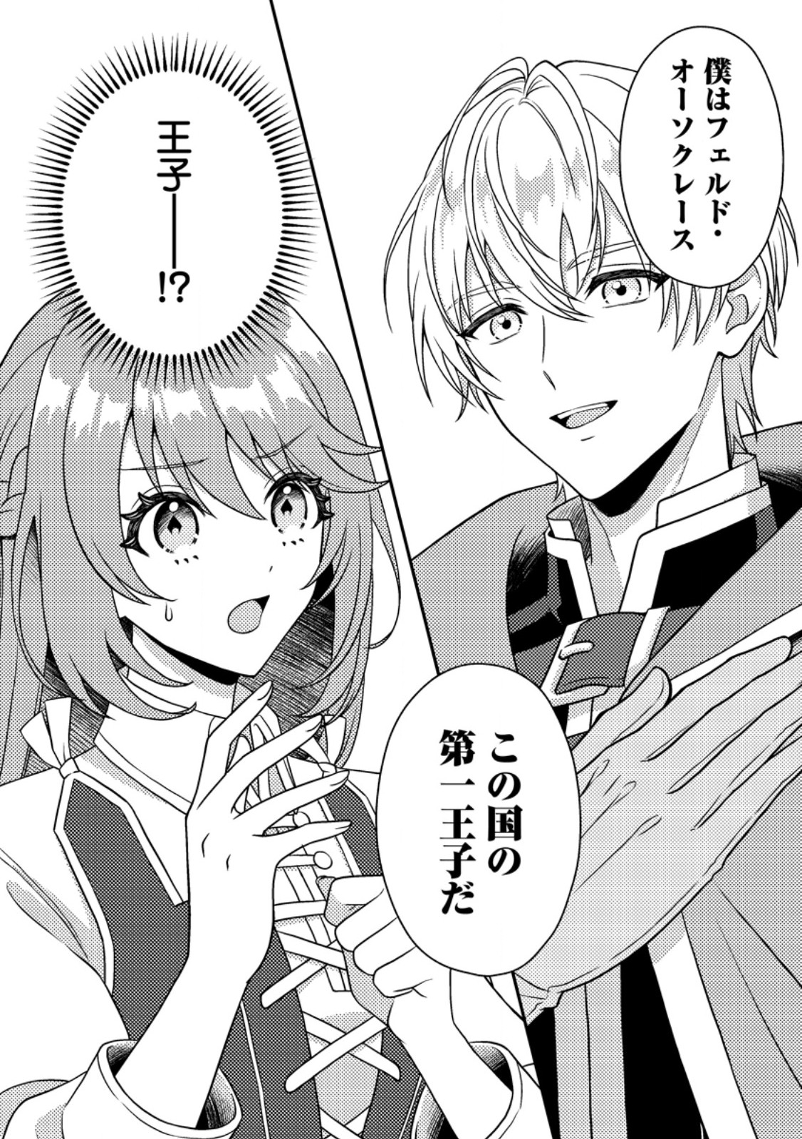 HOUSEKI NO SEIJO - 