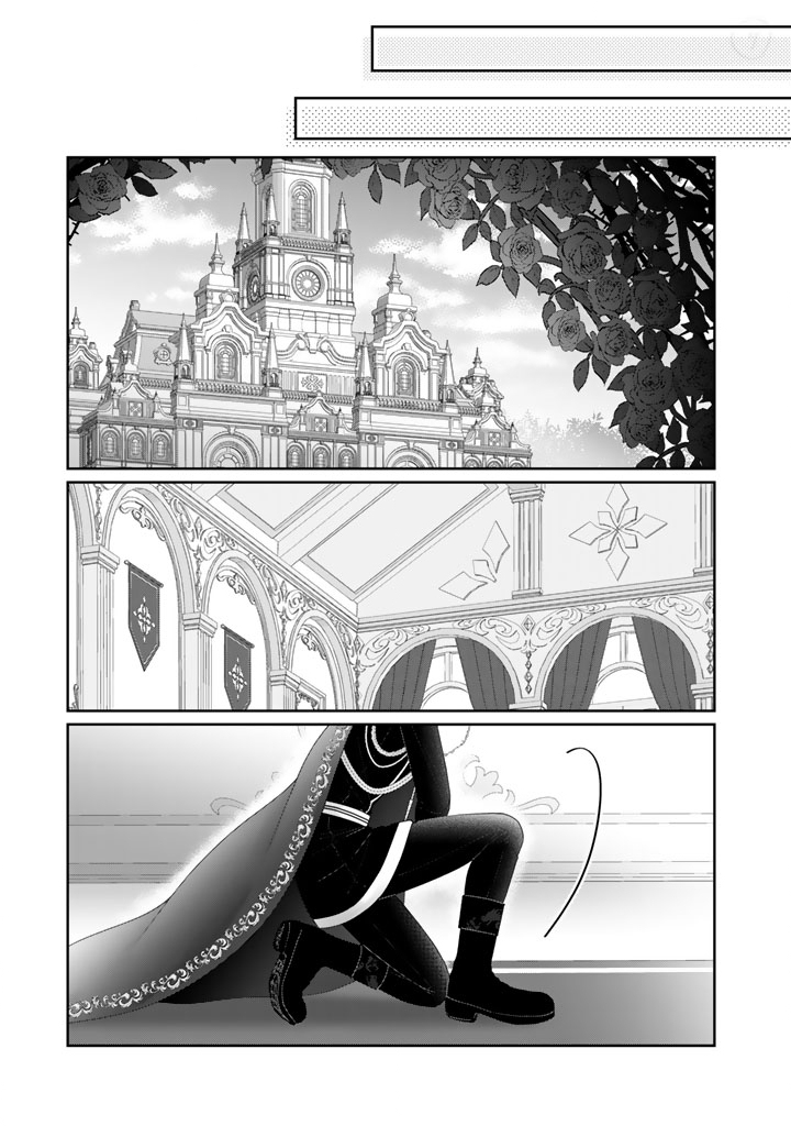 SHIITAGE RARE OUJO NI TENSEI SHIMASHITA GA, RYUUJIN NO KAGO WO MOTSU SAIKYOU KISHI-SAMA NI AISARETE SHIAWASE DESU Chapter 24 page 9 - nihonkuni.com