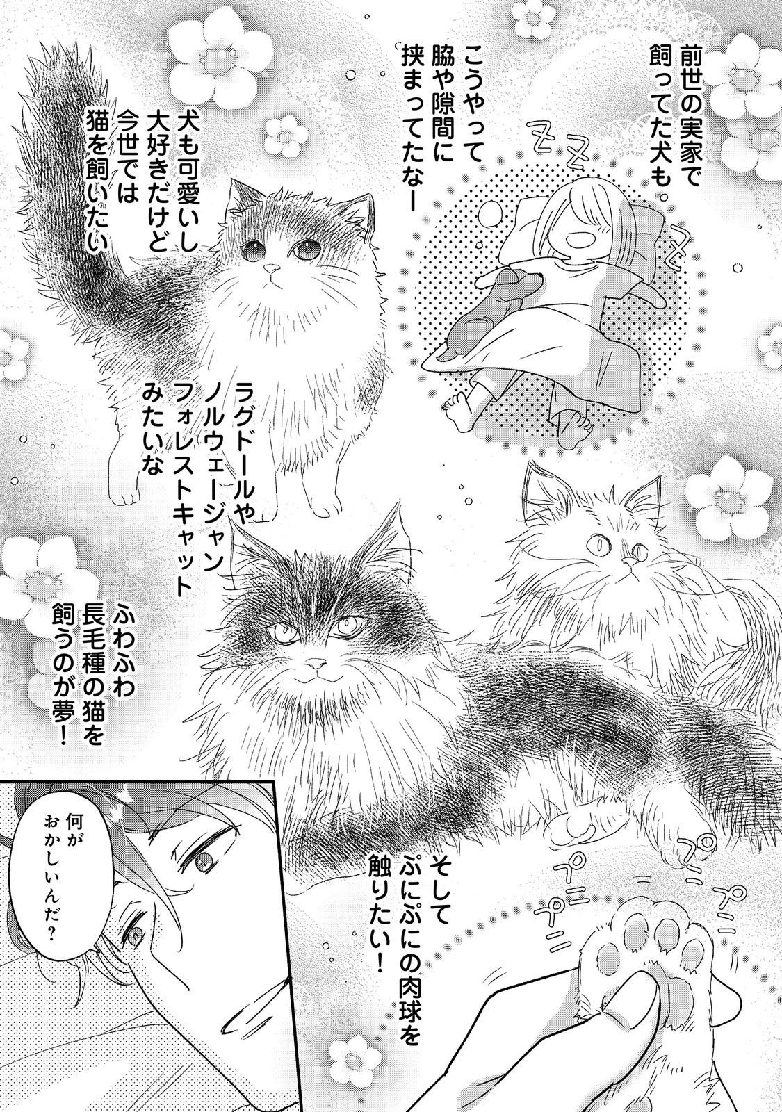 ISEKAI TENSEI SHITARA HENKYOU HAKU REIJOU DATTA: OSHI TOTOMONI IKIRU HENKYOU SEIKATSU Chapter 5.1 page 17 - nihonkuni.com
