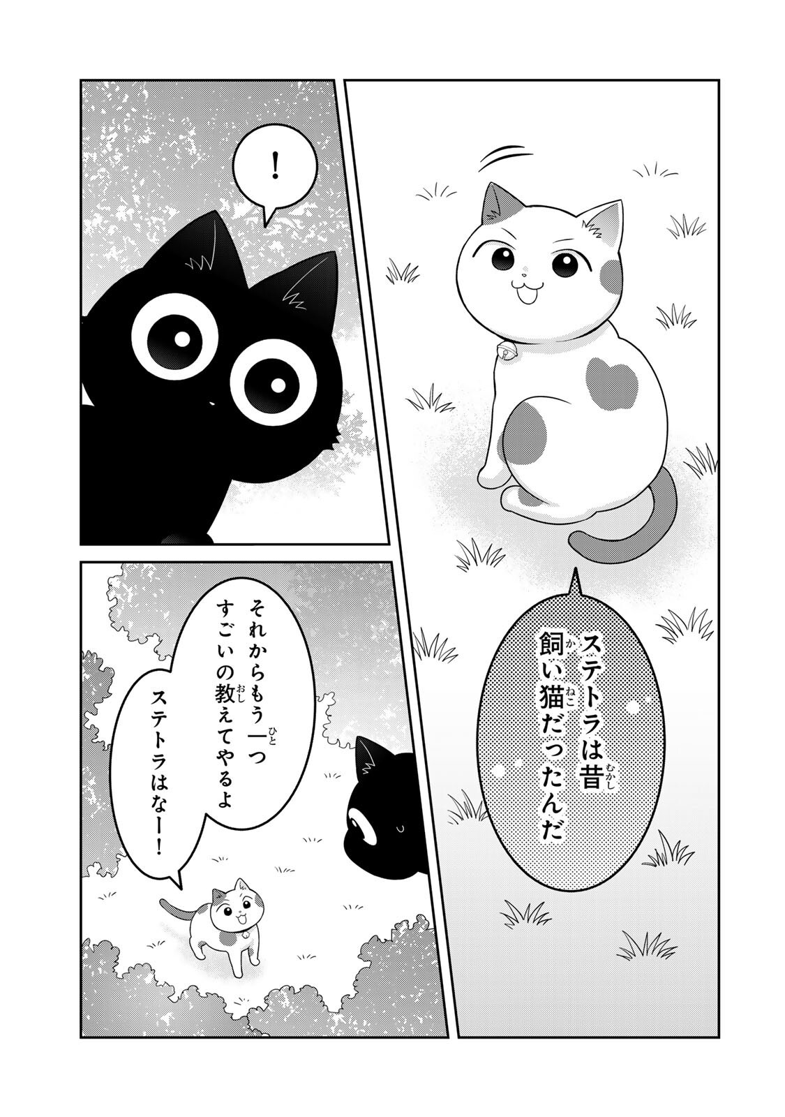 Read RUDOLF TO IPPAIATTENA Chapter 6 [High Quality / Full] - Page 17 - nicomanga.com