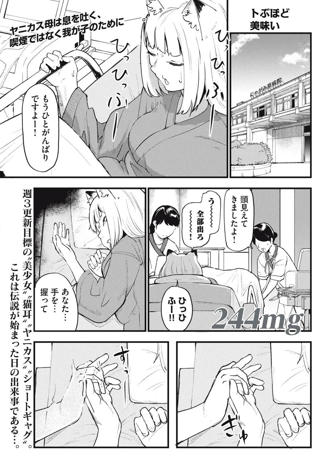 Read YANI NEKO Chapter 244 [High Quality / Full] - Page 1 - nicomanga.com
