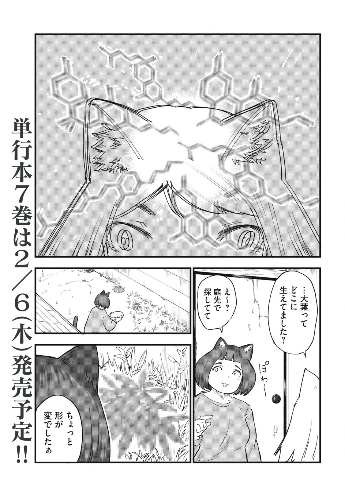 Read YANI NEKO Chapter 224 [High Quality / Full] - Page 3 - nicomanga.com
