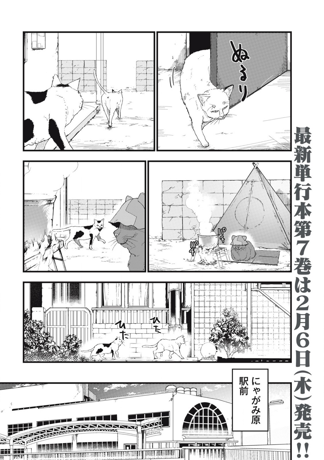 Read YANI NEKO Chapter 235 [High Quality / Full] - Page 2 - nicomanga.com