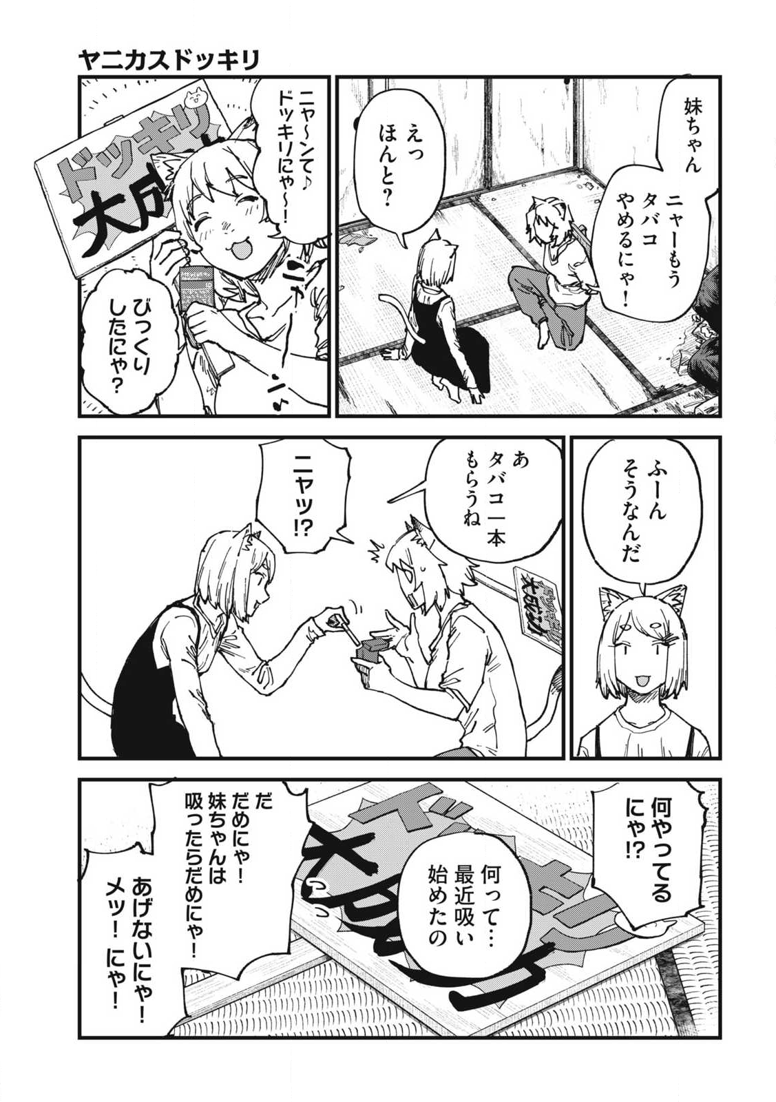 Read YANI NEKO Chapter 308 [High Quality / Full] - Page 3 - nicomanga.com