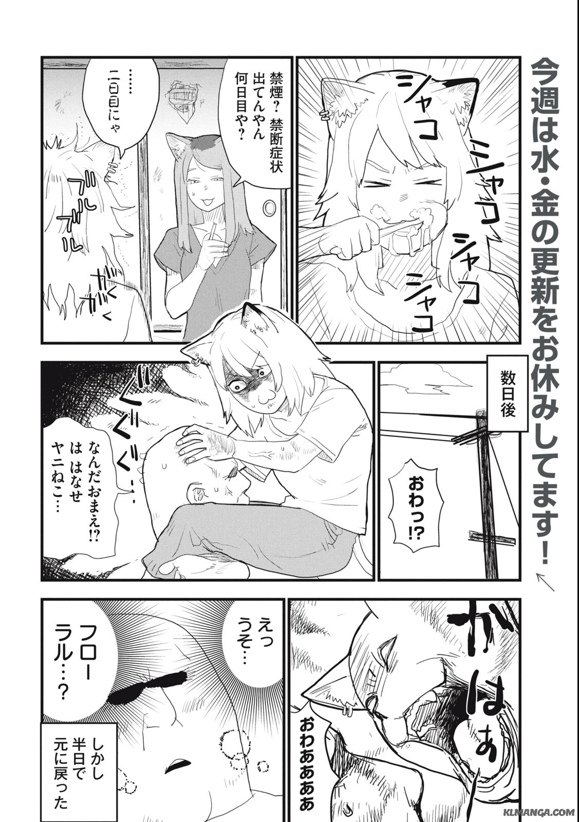 Read YANI NEKO Chapter 55 [High Quality / Full] - Page 2 - nicomanga.com