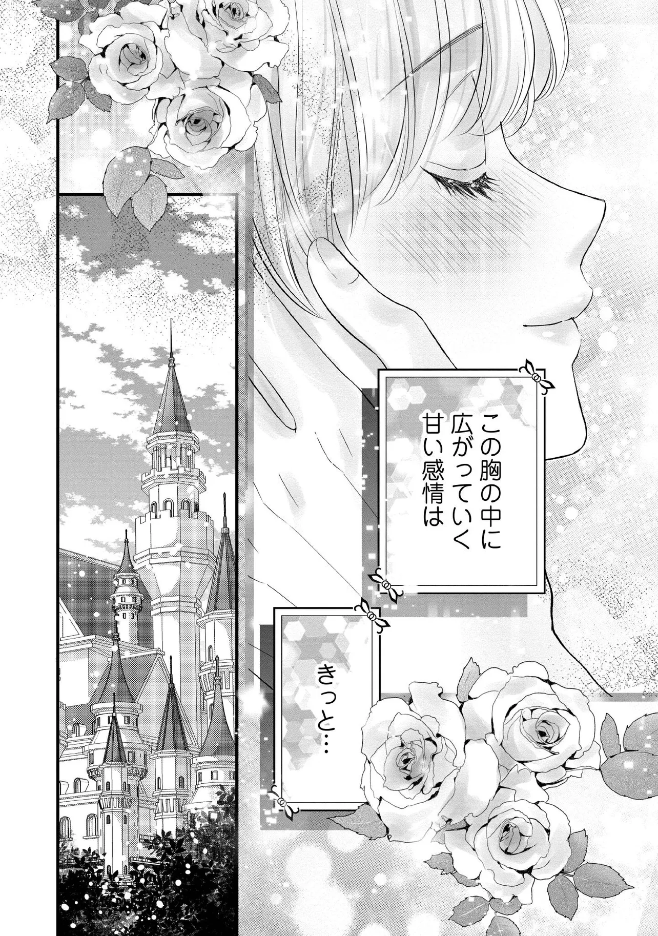 KARAPPO SEIJO TO SHITE SUTERARETA HAZU GA, TOTSUGI-SAKI NO KOUTEI HEIKA NI DEKIAISARETEIMASU Chapter 27.1 page 4 - nihonkuni.com