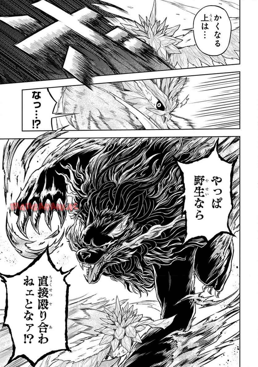 Read MAMONO NO MORI NO SHOUJO NOVA Chapter 6 [High Quality / Full] - Page 25 - nicomanga.net