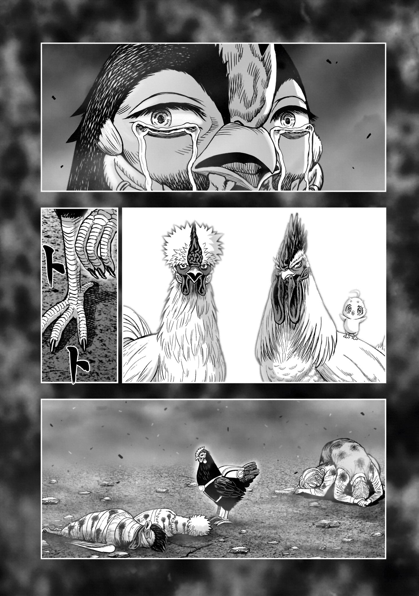 Read NIWATORI FIGHTER Chapter 60 [High Quality / Full] - Page 22 - nicomanga.com