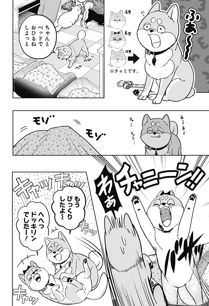 Read SHIBA-TSUKI BUKKEN Chapter 33 [High Quality / Full] - Page 6 - dark.nicomanga.com
