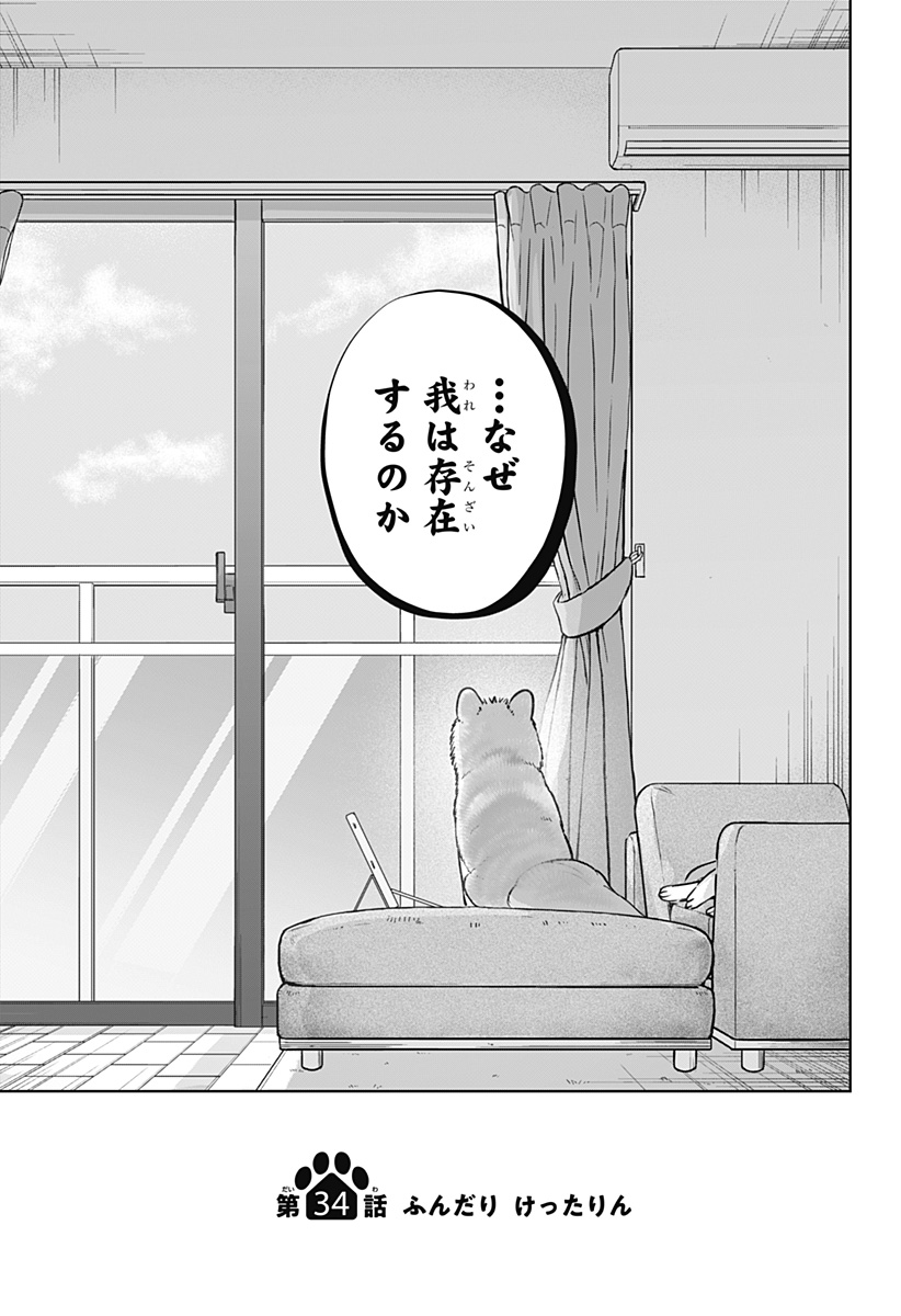 Read SHIBA-TSUKI BUKKEN Chapter 34 [High Quality / Full] - Page 3 - dark.nicomanga.com