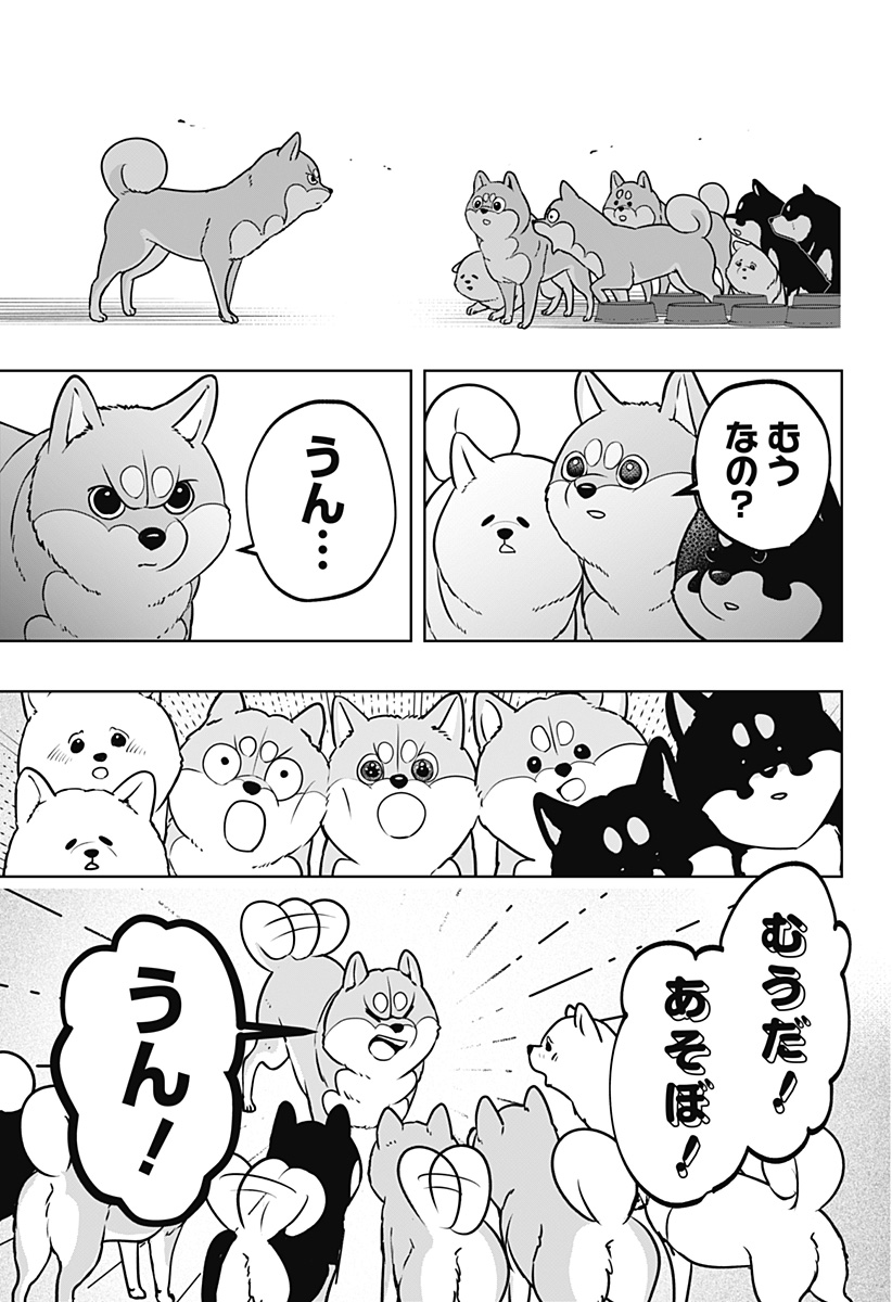 Read SHIBA-TSUKI BUKKEN Chapter 10 [High Quality / Full] - Page 9 - dark.nicomanga.com