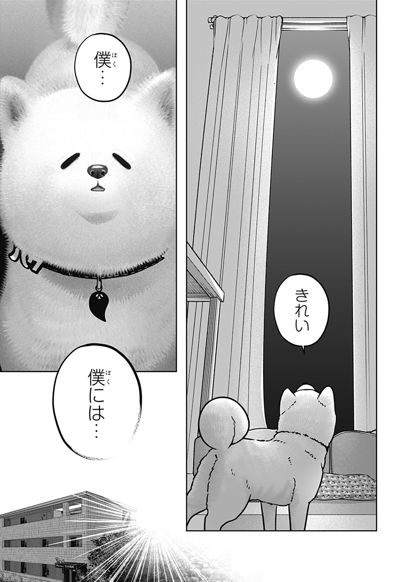 Read SHIBA-TSUKI BUKKEN Chapter 39 [High Quality / Full] - Page 7 - nicomanga.net